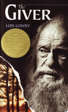 Book Cover 29